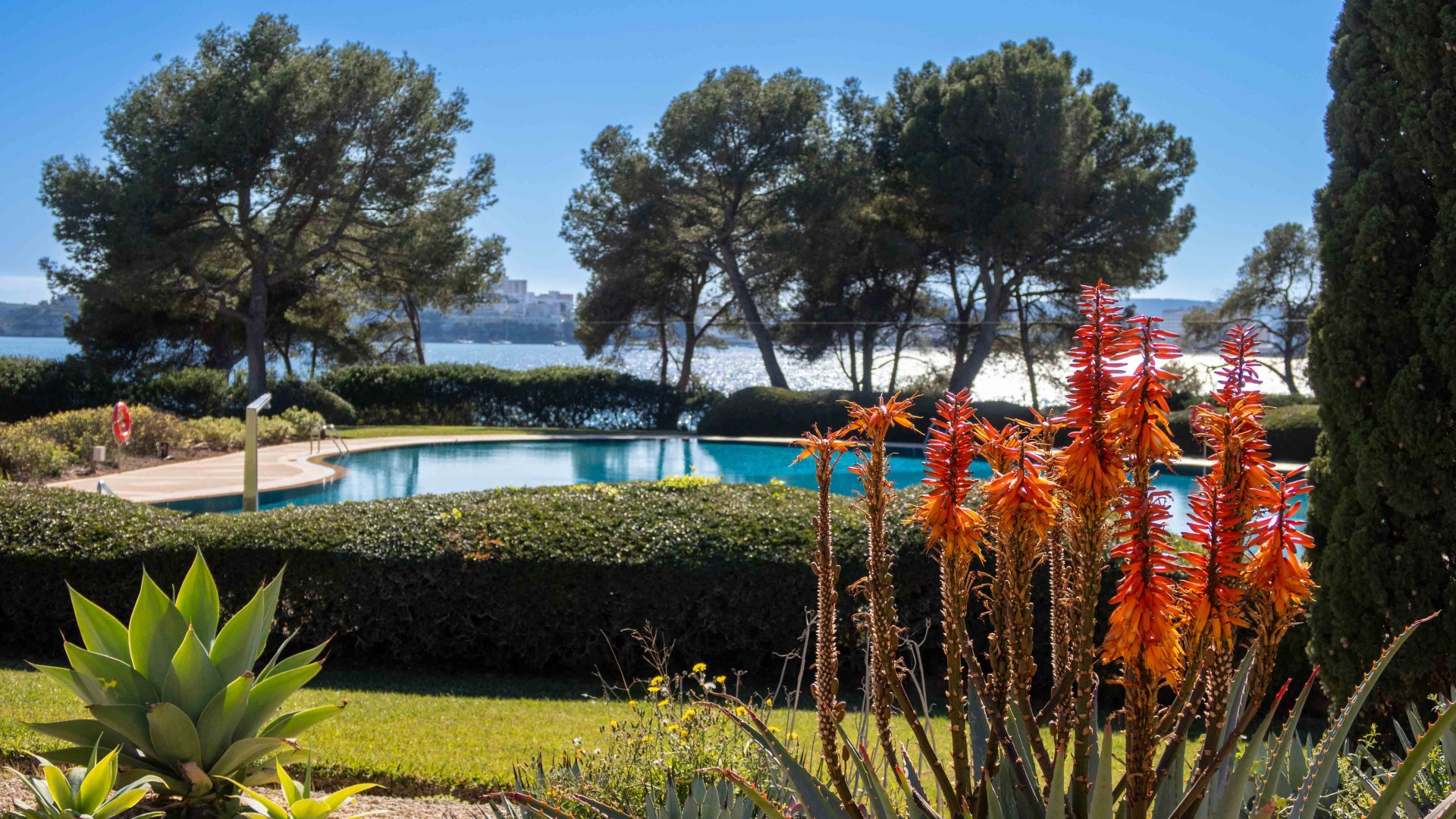 Wohnung in Portals Nous, Mallorca, Spanien 1 Schlafzimmer, 151 m2 Nr. 155754