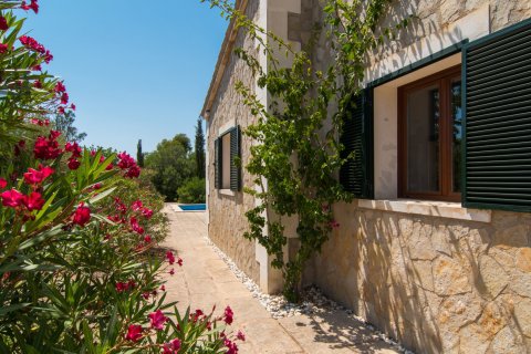 Finca en alquiler en Algaida, Mallorca, España 5 dormitorios, 250 m2 No. 155756 - foto 19