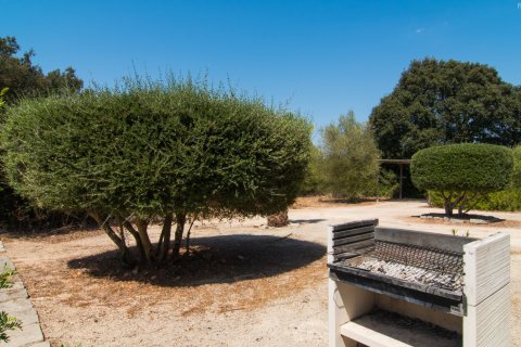 Finca en alquiler en Algaida, Mallorca, España 5 dormitorios, 250 m2 No. 155756 - foto 22