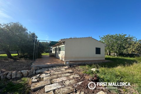Finka w Costitx, Mallorca, Hiszpania 6 sypialni, 316 mkw. nr 190826 – zdjęcie 26