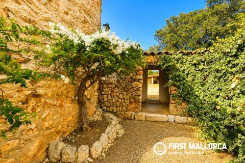 Finca zum Verkauf in Costitx, Mallorca, Spanien 6 Schlafzimmer, 316 m2 Nr. 190826 - Foto 29