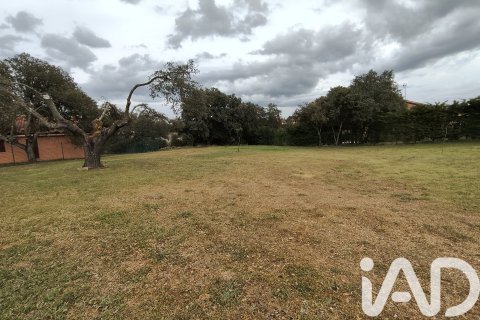 Zemes gabals pārdošanā Carrascal de Barregas, Salamanca, Spānijā 1100 m2 Nr. 184928 - attēls 2