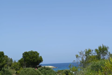 Tontti myytävänä L'Ametlla de Mar, Tarragona, Espanja , 500 m2 No. 152796 - kuva 2