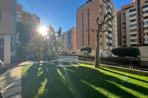 Apartment à louer à Alicante, Espagne, 2 chambres, 110 m2 No. 146360 - photo 21