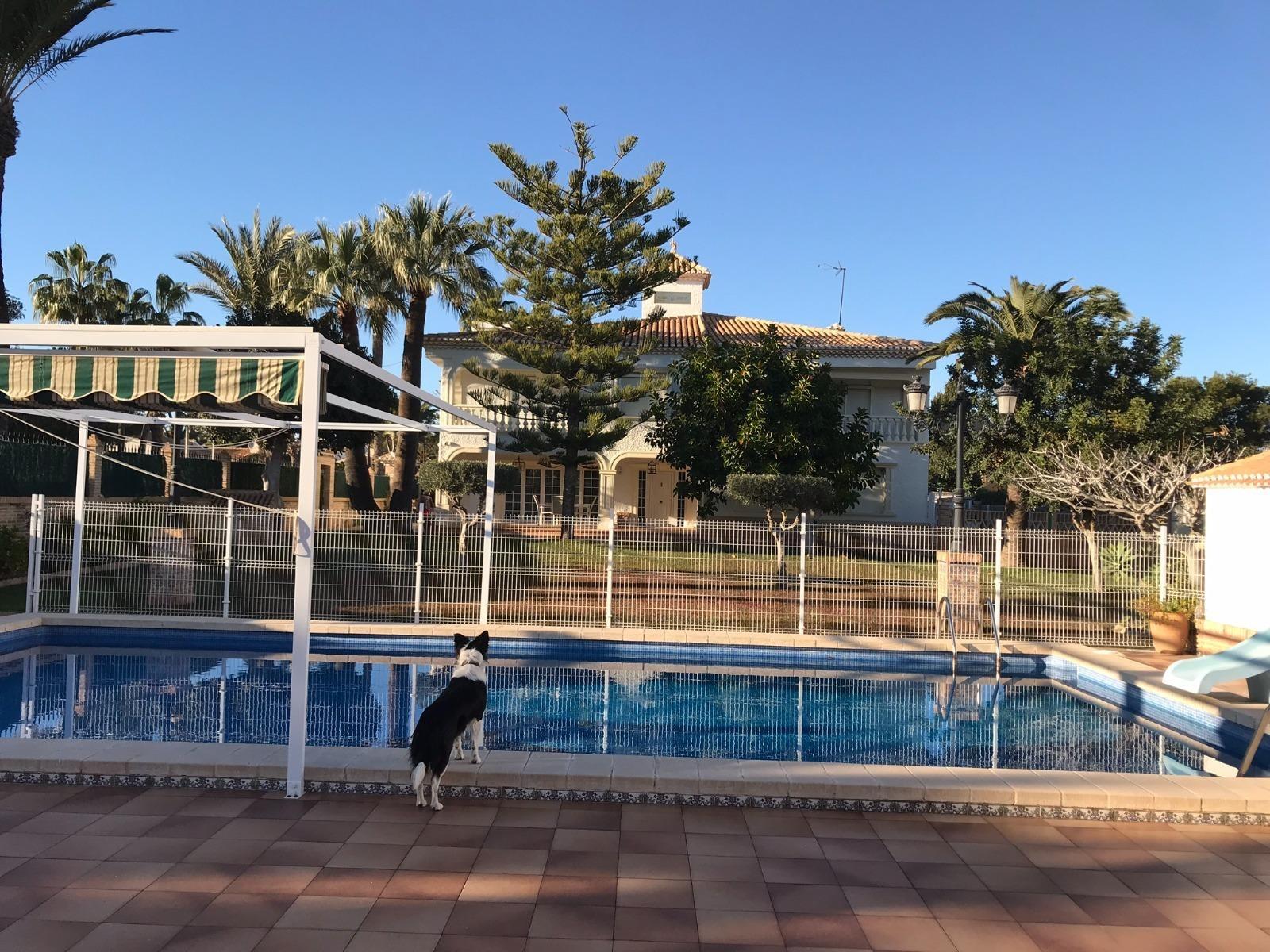 Willa w Cabo Roig, Alicante, Hiszpania 7 sypialni, 500 mkw. nr 115887