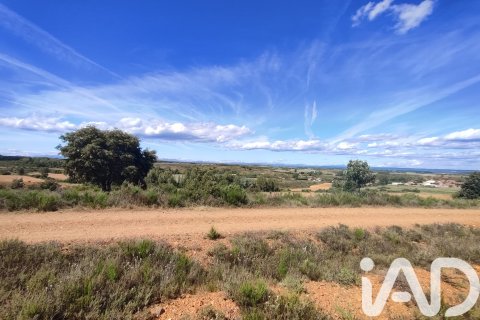 Land plot à vendre à Valdefresno, Leon, Espagne, 4035 m2 No. 184663 - photo 11