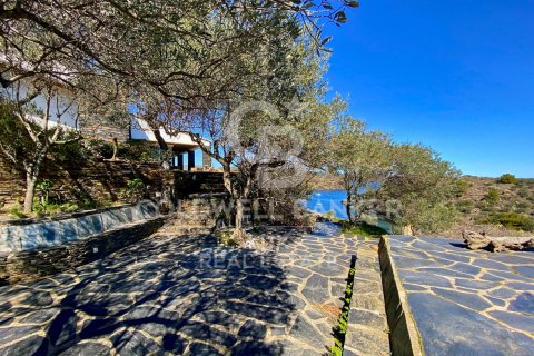 Сasa en venta en Cadaqués, Gerona, España 12 dormitorios, 420 m2 No. 160206 - foto 18