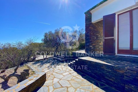 Сasa en venta en Cadaqués, Gerona, España 12 dormitorios, 420 m2 No. 160206 - foto 17