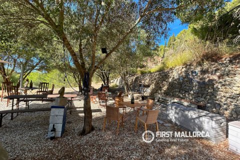 Finca à louer à Puigpunyent, Mallorca, Espagne, 5 chambres, 262 m2 No. 196749 - photo 27