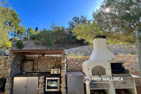 Finca à louer à Puigpunyent, Mallorca, Espagne, 5 chambres, 262 m2 No. 196749 - photo 25