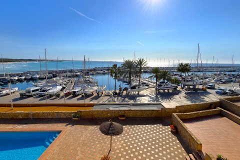 Wohnung zur Miete in Sa Rapita, Mallorca, Spanien 2 Schlafzimmer, 140 m2 Nr. 196747 - Foto 14