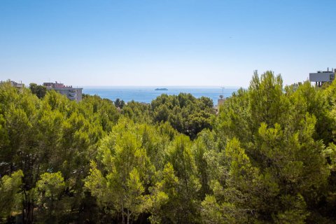 Wohnung zum Verkauf in Cas Catala, Mallorca, Spanien 3 Schlafzimmer, 145 m2 Nr. 196743 - Foto 16
