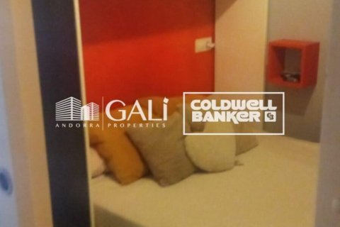 Apartament w Principado De Andorra (Ninguna Poblacion Tiene C.P.), Lleida, Hiszpania 32 mkw. nr 157115 – zdjęcie 7