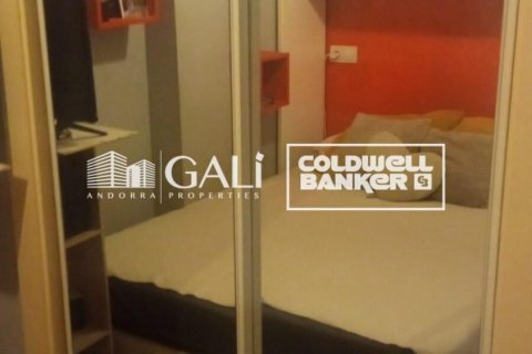 Apartament w Principado De Andorra (Ninguna Poblacion Tiene C.P.), Lleida, Hiszpania 32 mkw. nr 157115 – zdjęcie 5