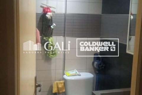 Apartament w Principado De Andorra (Ninguna Poblacion Tiene C.P.), Lleida, Hiszpania 32 mkw. nr 157115 – zdjęcie 10