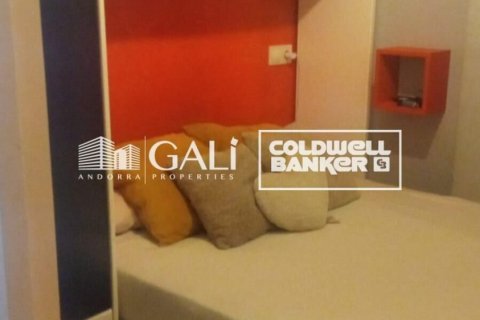 Apartament w Principado De Andorra (Ninguna Poblacion Tiene C.P.), Lleida, Hiszpania 32 mkw. nr 157115 – zdjęcie 6