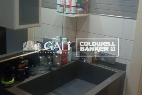 Apartament w Principado De Andorra (Ninguna Poblacion Tiene C.P.), Lleida, Hiszpania 32 mkw. nr 157115 – zdjęcie 11