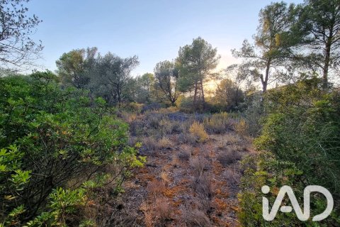 Tomt till salu i Ginestar, Tarragona, Spanien 1439 kvm. Nr. 194389 - foto 3