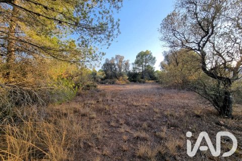 Tomt i Ginestar, Tarragona, Spanien 1439 kvm. Nr. 194389
