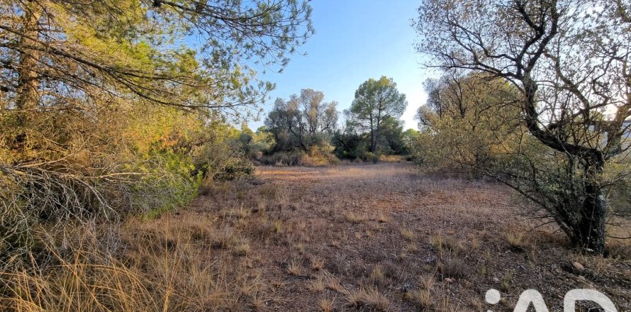 Tomt i Ginestar, Tarragona, Spanien 1439 kvm. Nr. 194389