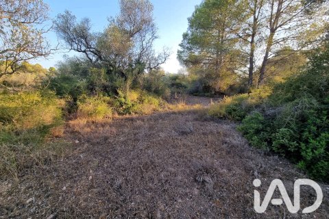 Tomt till salu i Ginestar, Tarragona, Spanien 1439 kvm. Nr. 194389 - foto 4