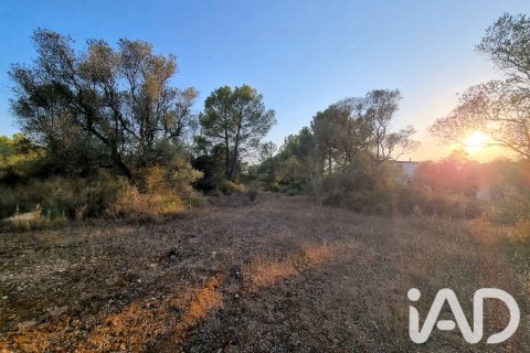 Tomt till salu i Ginestar, Tarragona, Spanien 1439 kvm. Nr. 194389 - foto 2