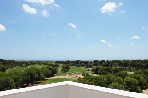 Apartament Pinar De Campoverde, Alicante, Hiszpania 2 sypialnie, 212 mkw. nr 110499 – zdjęcie 23