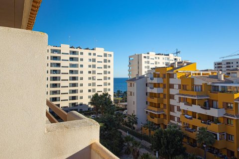 Wohnung zum Verkauf Torrevieja, Alicante, Spanien 2 Schlafzimmer,  Nr. 116966 - Foto 1