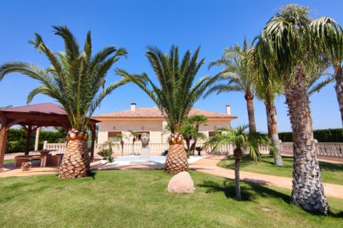 Villa for sale in Aspe, Alicante, Spain 5 bedrooms, 669 sq.m. No. 176562 - photo 2