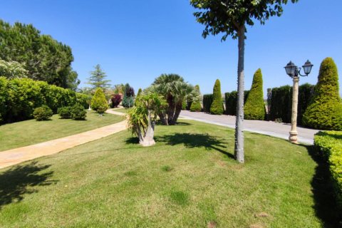 Villa for sale in Aspe, Alicante, Spain 5 bedrooms, 669 sq.m. No. 176562 - photo 27