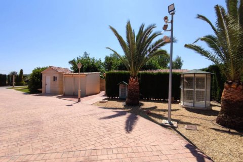 Villa for sale in Aspe, Alicante, Spain 5 bedrooms, 669 sq.m. No. 176562 - photo 16