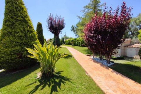 Villa for sale in Aspe, Alicante, Spain 5 bedrooms, 669 sq.m. No. 176562 - photo 22