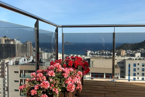 Penthouse à vendre à Finestrat, Alicante, Espagne, 3 chambres, 172 m2 No. 165565 - photo 5