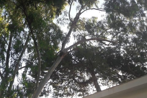 Apartment for sale in El Campello, Alicante, Spain 2 bedrooms, 112 sq.m. No. 165569 - photo 18