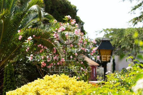 Kolmio myytävänä Barcelona, Espanja, 5 makuuhuonetta, 322 m2 No. 160108 - kuva 24