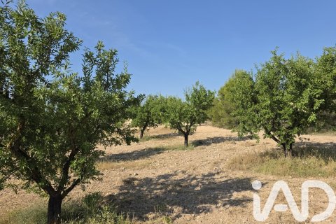 Commercial property for sale in Moratalla, Murcia, Spain No. 172068 - photo 14