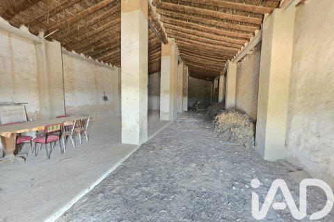 Commercial property for sale in Moratalla, Murcia, Spain No. 172068 - photo 7