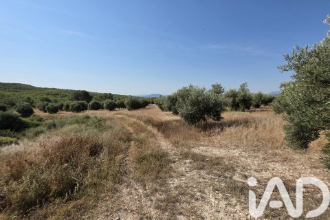 Commercial property for sale in Moratalla, Murcia, Spain No. 172068 - photo 4