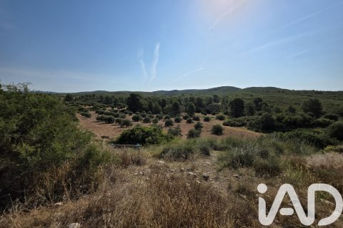 Commercial property for sale in Moratalla, Murcia, Spain No. 172068 - photo 23