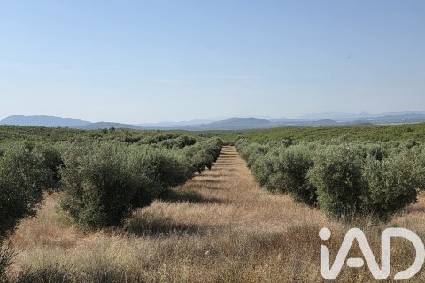 Commercial property in Moratalla, Murcia, Spain No. 172068