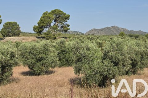Commercial property for sale in Moratalla, Murcia, Spain No. 172068 - photo 15
