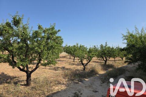 Commercial property for sale in Moratalla, Murcia, Spain No. 172068 - photo 10
