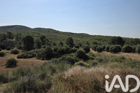 Commercial property for sale in Moratalla, Murcia, Spain No. 172068 - photo 24