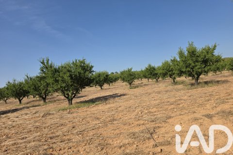Commercial property for sale in Moratalla, Murcia, Spain No. 172068 - photo 13