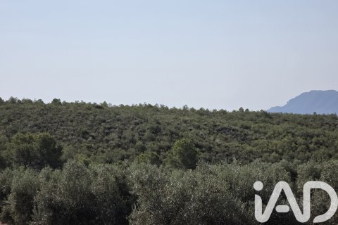 Commercial property for sale in Moratalla, Murcia, Spain No. 172068 - photo 18