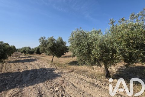 Commercial property for sale in Moratalla, Murcia, Spain No. 172068 - photo 12