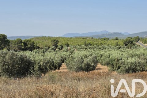 Commercial property for sale in Moratalla, Murcia, Spain No. 172068 - photo 3