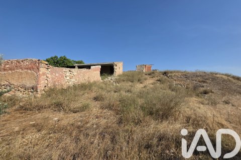 Commercial property for sale in Moratalla, Murcia, Spain No. 172068 - photo 22