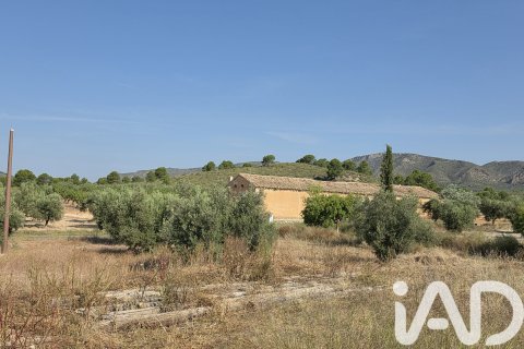 Commercial property for sale in Moratalla, Murcia, Spain No. 172068 - photo 16