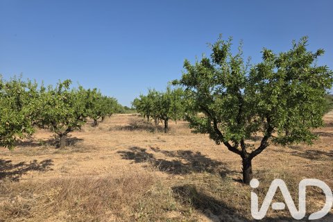 Commercial property for sale in Moratalla, Murcia, Spain No. 172068 - photo 9